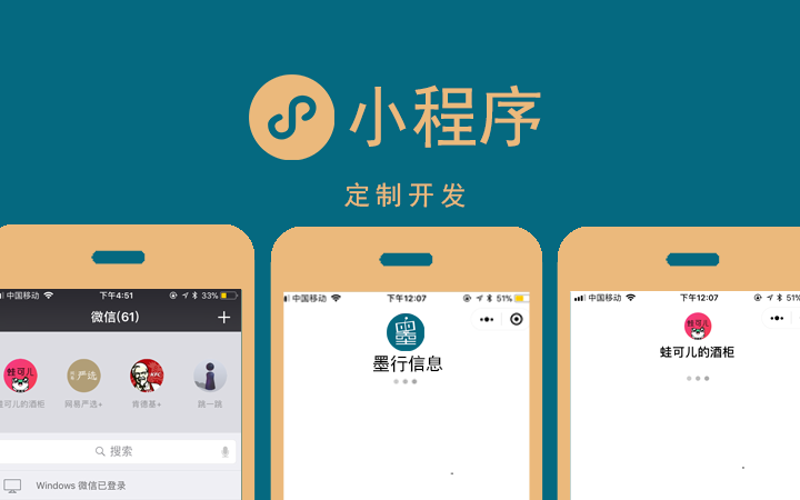 上海软件开发：企业成长的加速器